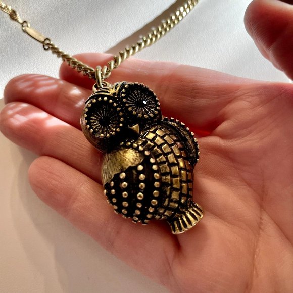 Susan Graver Jewelry - Susan Graver Owl Locket Pendant